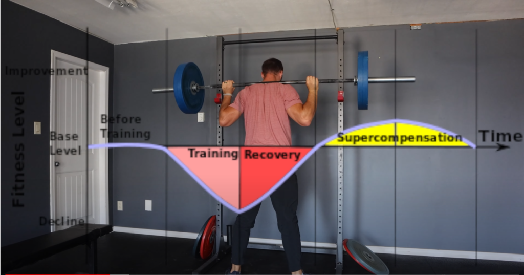 Study explanation of the Training Recovery and Supercompensation models.