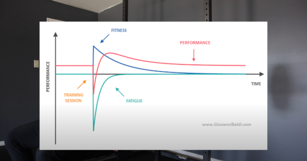 Fitness-fatigue model explanation.